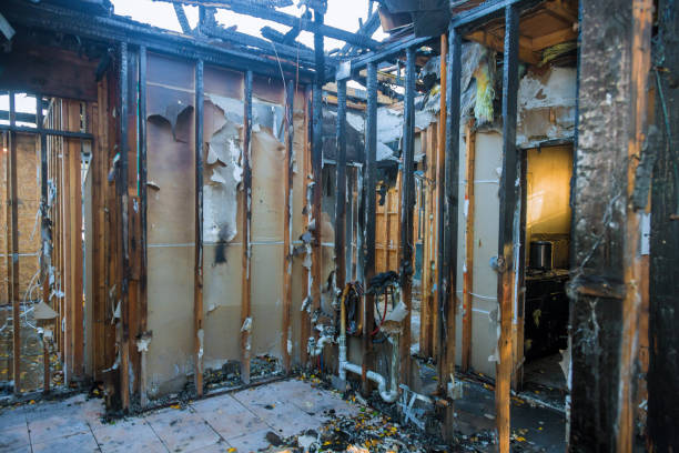 Professional Fire Damage Removal technician working in Feasterville Trevose, PA